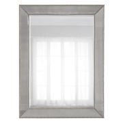 Зеркало в раме «Франческо» Pale Silver/25