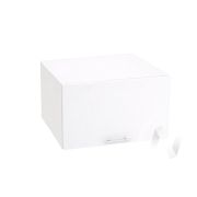 Кухня «Валерия-М»: Шкаф верхний горизонтальный 610, ШВГ 610 (белый металлик/корпус белый)